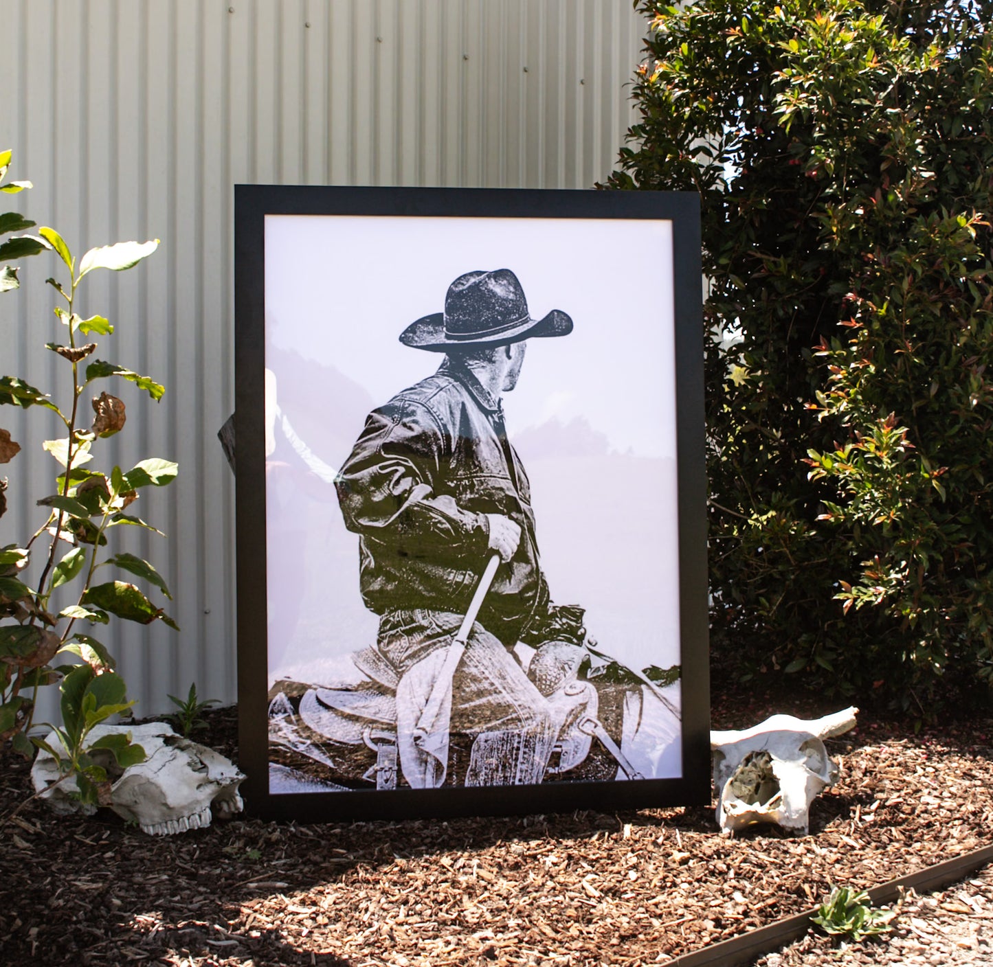 PRINTS - 'Rodeo Romeo'